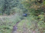 2012 Herbstwanderung