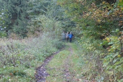 herbstwanderung_2012_20121026_1086330755