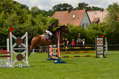 2012 Reitturnier