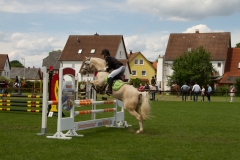 reitturnier_2012_20120613_1117870103