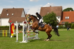 reitturnier_2012_20120613_1180149006