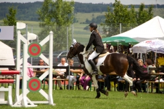 reitturnier_2012_20120613_1377692006