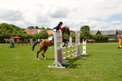 reitturnier_2012_20120613_1485233616