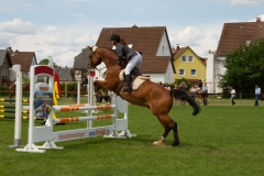 reitturnier_2012_20120613_1603776176