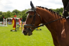 reitturnier_2012_20120613_1638567311