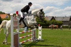reitturnier_2012_20120613_1727164776