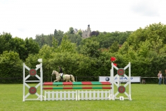 reitturnier_2012_20120613_1746864744