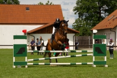 reitturnier_2012_20120613_1947517419