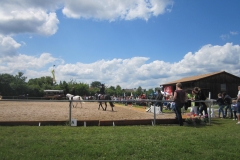 reitturnier_2012_20120615_1134480848