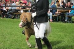 reitturnier_2012_20120615_1586972130