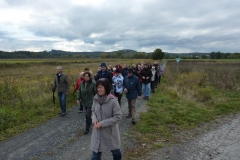 herbstawanderung_2013_20131102_1342535793