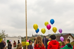 maibaumfest_2013_20130502_1160661615