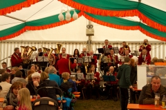 maibaumfest_2013_20130502_1845468917