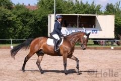reitturnier2014_11_20140818_1526622288