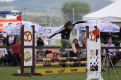 reitturnier2014_11_20140818_1855430830