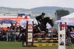reitturnier2014_15_20140818_1580913279