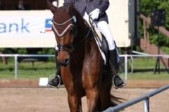 reitturnier2014_1_20140818_1612527363