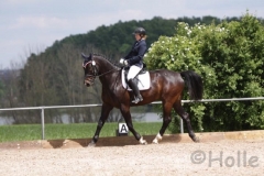 reitturnier2014_21_20140818_1724714510