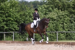 reitturnier2014_24_20140818_1669575945