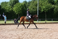 reitturnier2014_27_20140818_1216624477