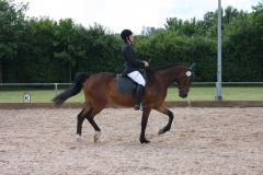 reitturnier2014_29_20140818_1263367560