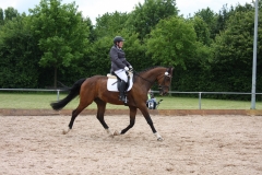 reitturnier2014_31_20140818_1176172207