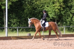 reitturnier2014_6_20140818_1506640666