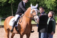 reitturnier2014_8_20140818_1941436862