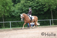 reitturnier_2015_10_20151218_1362493936