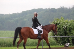 reitturnier_2016_1_20160709_1845464954