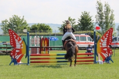 reitturnier_2016_48_20160709_1141502859