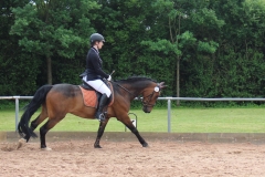 reitturnier_2017_32_20170624_1307308186