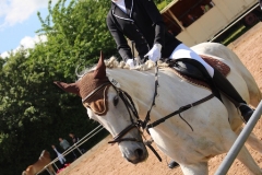 reitturnier_2017_54_20170624_1540321259