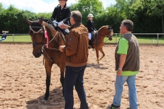 reitturnier_2017_57_20170624_1658302718