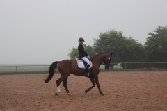 reitturnier_2017_5_20170624_1690942599