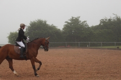 reitturnier_2017_7_20170624_1162215155