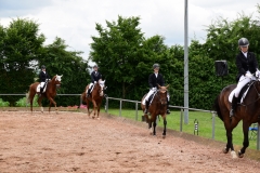 reitturnier_2018_33_20180620_1583050522