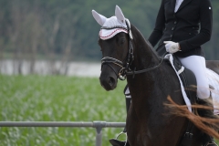 reitturnier_2018_69_20180620_1236245994